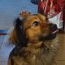 Gail Barrow - Facebook
