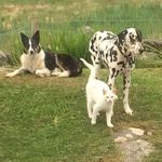 Gail Barry - @gail.barry.543 - Instagram