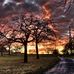 Gail Bartlett - Facebook