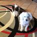 Gail Bartlett - Facebook