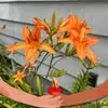 Gail Biggar Bartlett - @gail.biggar.bartl - TikTok