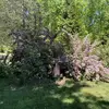 gailbartlettcarte - @gailbartlettcarte - TikTok