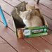 Gail Basile - Facebook