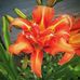 Gail Baskerville - Facebook
