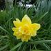 Gail Bateman - Facebook
