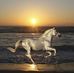 Gail Battee - Facebook