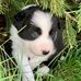Gail Beach - Facebook
