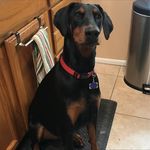 Gail Becker - @gailifornia - Instagram