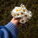 Gail Beckman - @gail.beckman.3 - Instagram