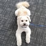 Gail Beckman - @beckman.gail - Instagram
