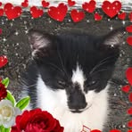 Gail Becton - Facebook