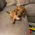 Glenda Gayle Beaird - Facebook