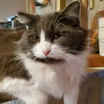 Gail Beebe - @g.beebe57 - Instagram