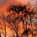 Gail Sowa Beebe - Facebook