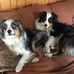 Gale Beebe - Facebook