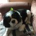 Gail Beeman - Facebook