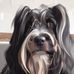 Gail Beerman - Facebook