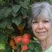 Gail Beeson - Facebook