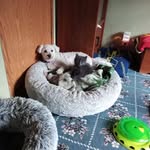 Gail Fortune Bellmore - @gailbellmore - Instagram