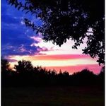 Gail Bergman Prentice - @prentice3802 - Instagram