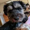 gailbergman248 - @gailbergman248 - TikTok