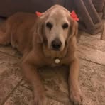 Gail Berkowitz - Facebook