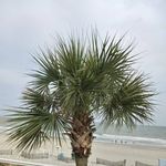 Gail Best - @bestgail - Instagram
