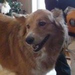 Gail Best - @gbestsarnia - Instagram