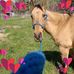 Gail Best - Facebook