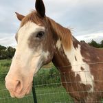 Gaileen Otis - @gailbestlife - Instagram