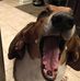 Gail Beyer - Facebook