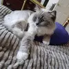 Gail Bitler - @gail.bitler - TikTok