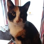 Gail Bixler - Cottrell - @gailbixlercottrell - Instagram