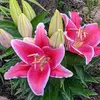 user9917631370062 - @gail.blanton - TikTok