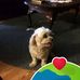 Gail Bledsoe - Facebook