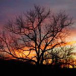 Marilyn Bledsoe - @bledsoegail - Instagram