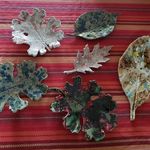 Gail Bohner - @bohnergail - Instagram