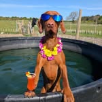 Gail Booker - @gailbooker - Instagram