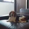 Gailon Booker - @gailon.booker - TikTok