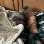 Gail Bouchard - @gailbouchard8 - Instagram