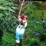 Gail Bourgeois - @bourgeoisgail - Instagram