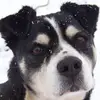 gailboyce669 - @gailboyce669 - TikTok