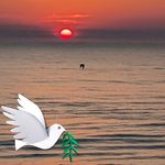 Gail Boyer Harker - @grharker - Instagram