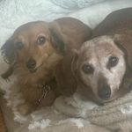 Gail Boyer Williams-Swetman - @gwilliamsswetman - Instagram