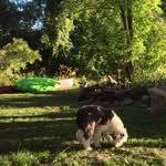 Gail brand - @gailbrandmaggie - Instagram