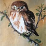 Gail Brandt - @gail.brandt - Instagram