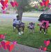 Gail Brazell - Facebook