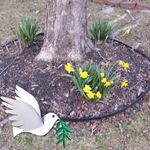 Gail Brandes Brenner - @gail_brandes_brenner - Instagram