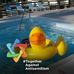 Gail Brenner - Facebook