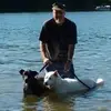 Gail Brenner Vandenack - @gail.brenner.vand - TikTok